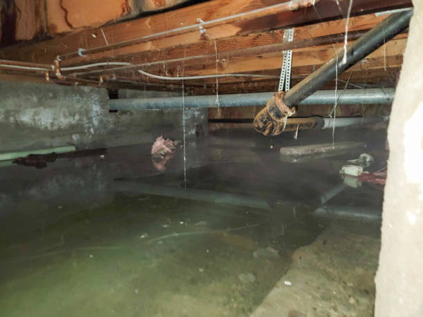 Best Residential water damage restoration  in Osgood, IN