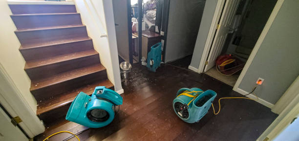 Best Flood damage cleanup  in Osgood, IN