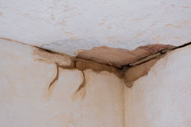 Best Carpet water damage restoration  in Osgood, IN