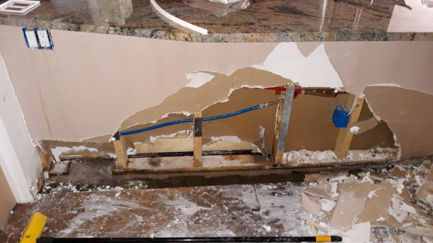 Best Sewage cleanup and water damage restoration  in Osgood, IN