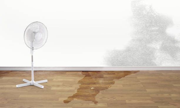 Best Local water damage restoration  in Osgood, IN