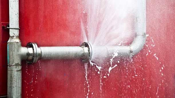 Best Flooded house restoration  in Osgood, IN